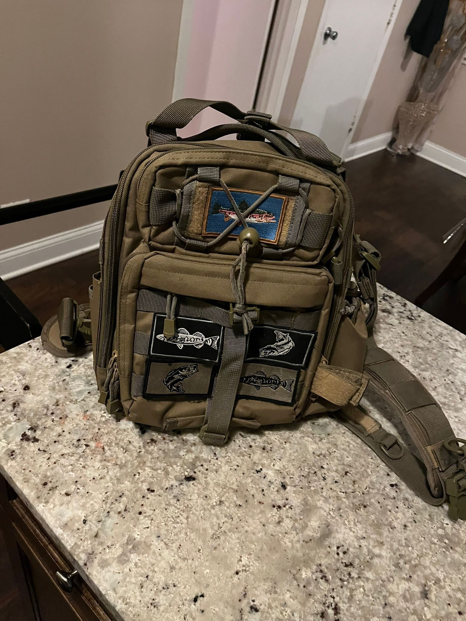 Back Pack