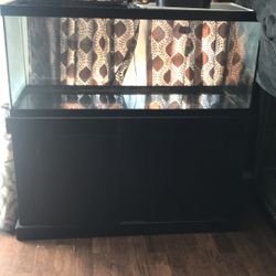 Fish tank and stand