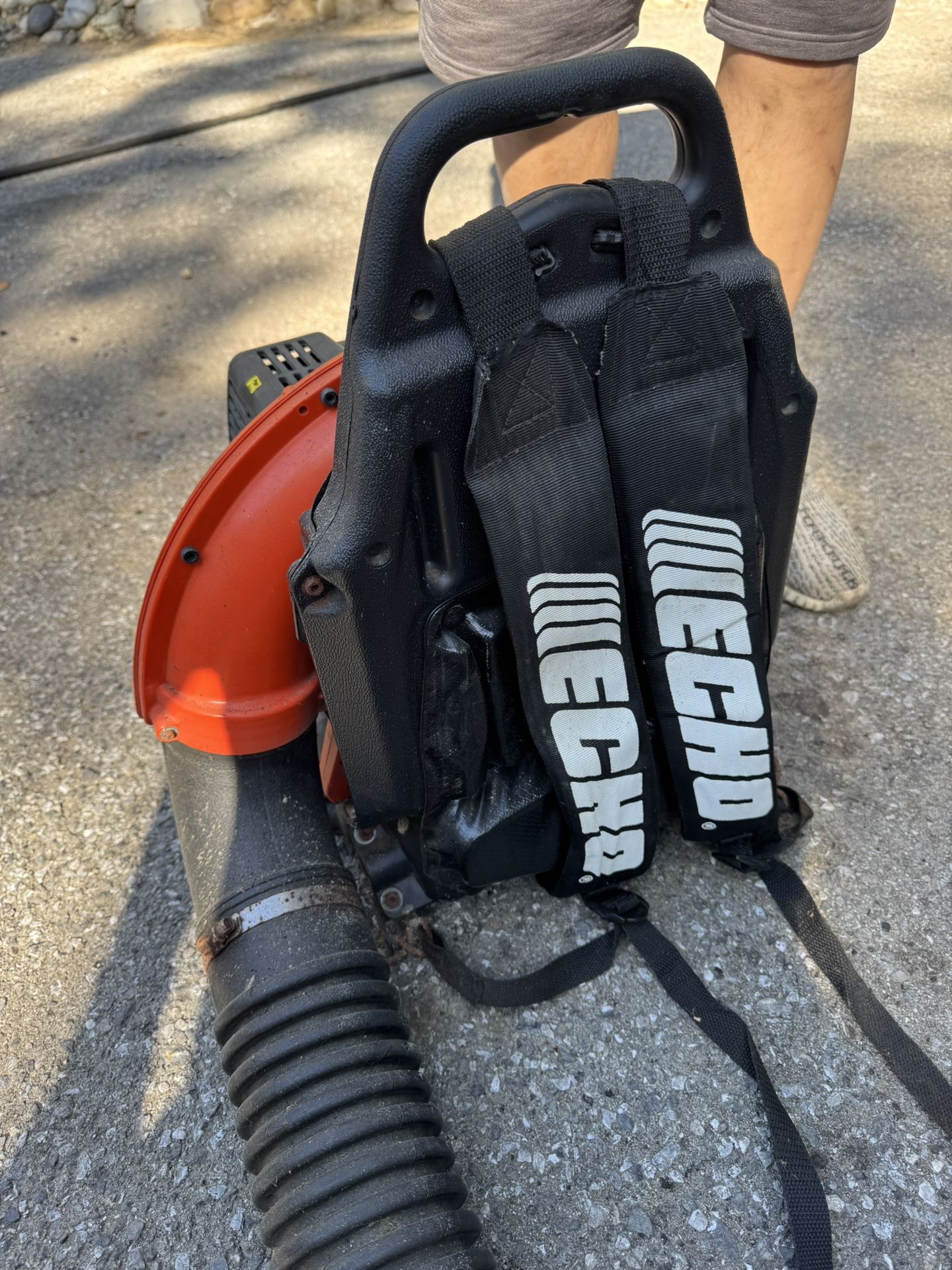 Echo Leaf Blower