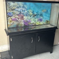 60 gallon aquarium with separate stand