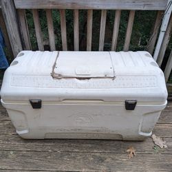Igloo Maxcold 165-quart cooler