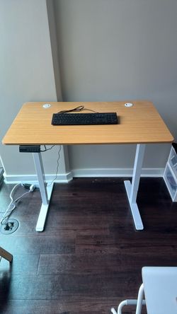 Electric Standing Desk with Wood Top