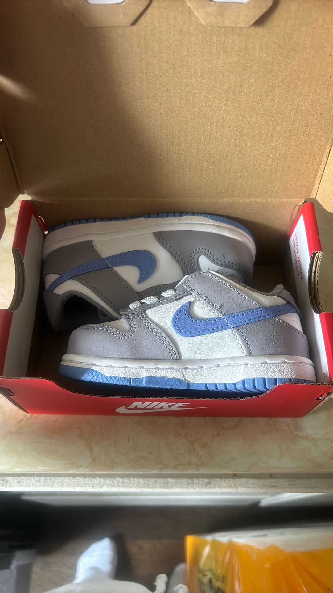 Nike Dunks Toddler