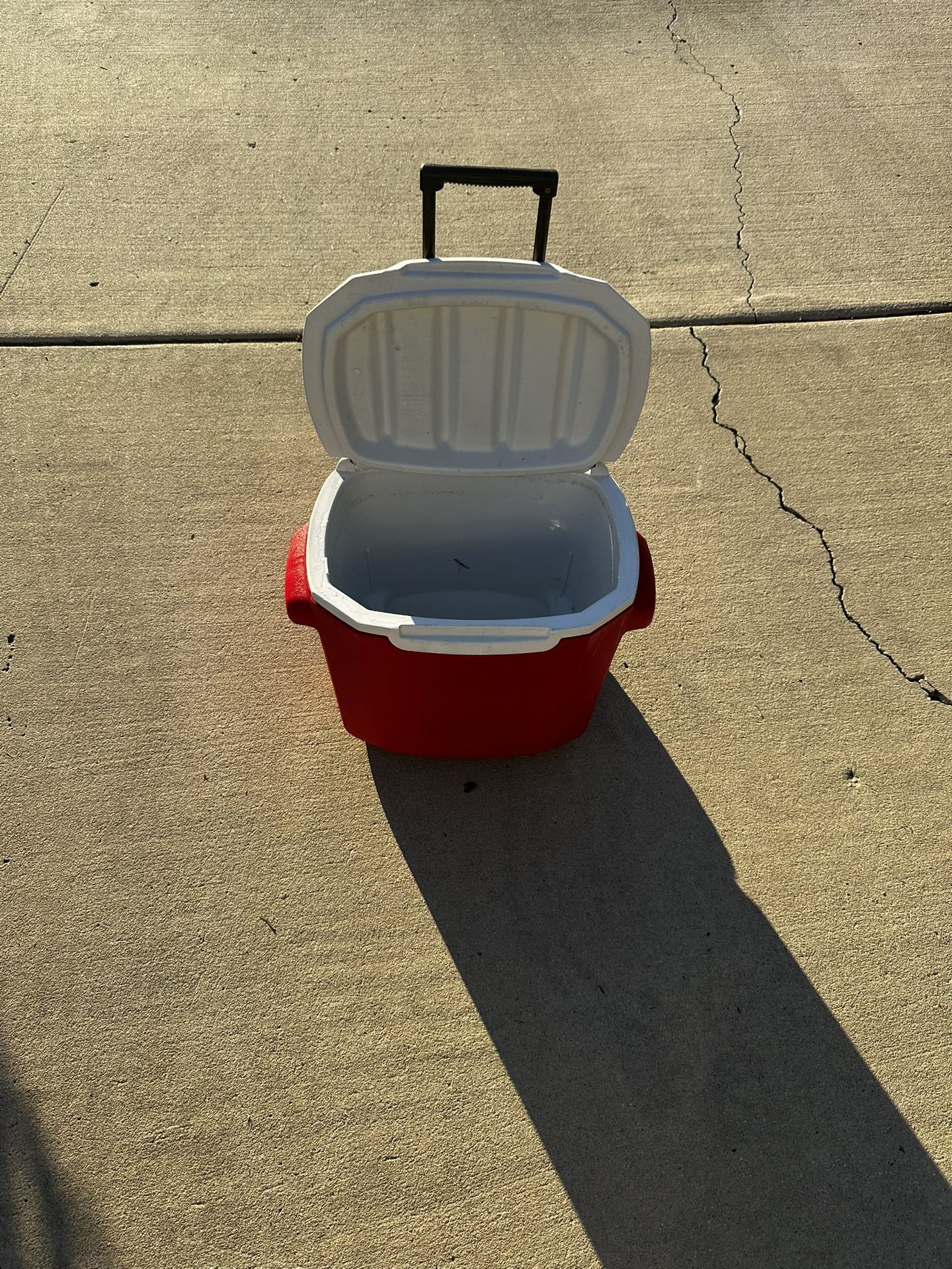 Coleman Small Cooler