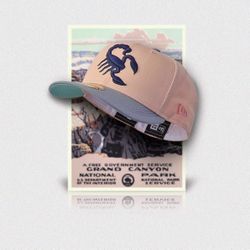 Myfitteds Exclusive New Era Scottsdale Scorpions National Park Pack “Grand Canyon” Tiffany UV