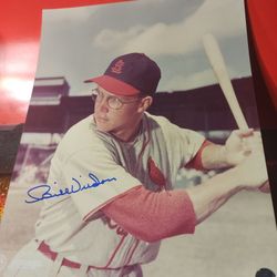 BILL VIRDON  ST. CARDINALS  NL ROY 55 SIGNED 8x10 w/coa & top loader 