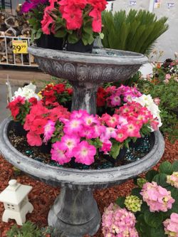 Outdoor plants 4”