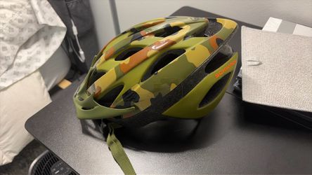 Schwinn helmet