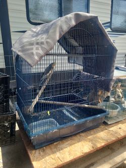 Large bird cage