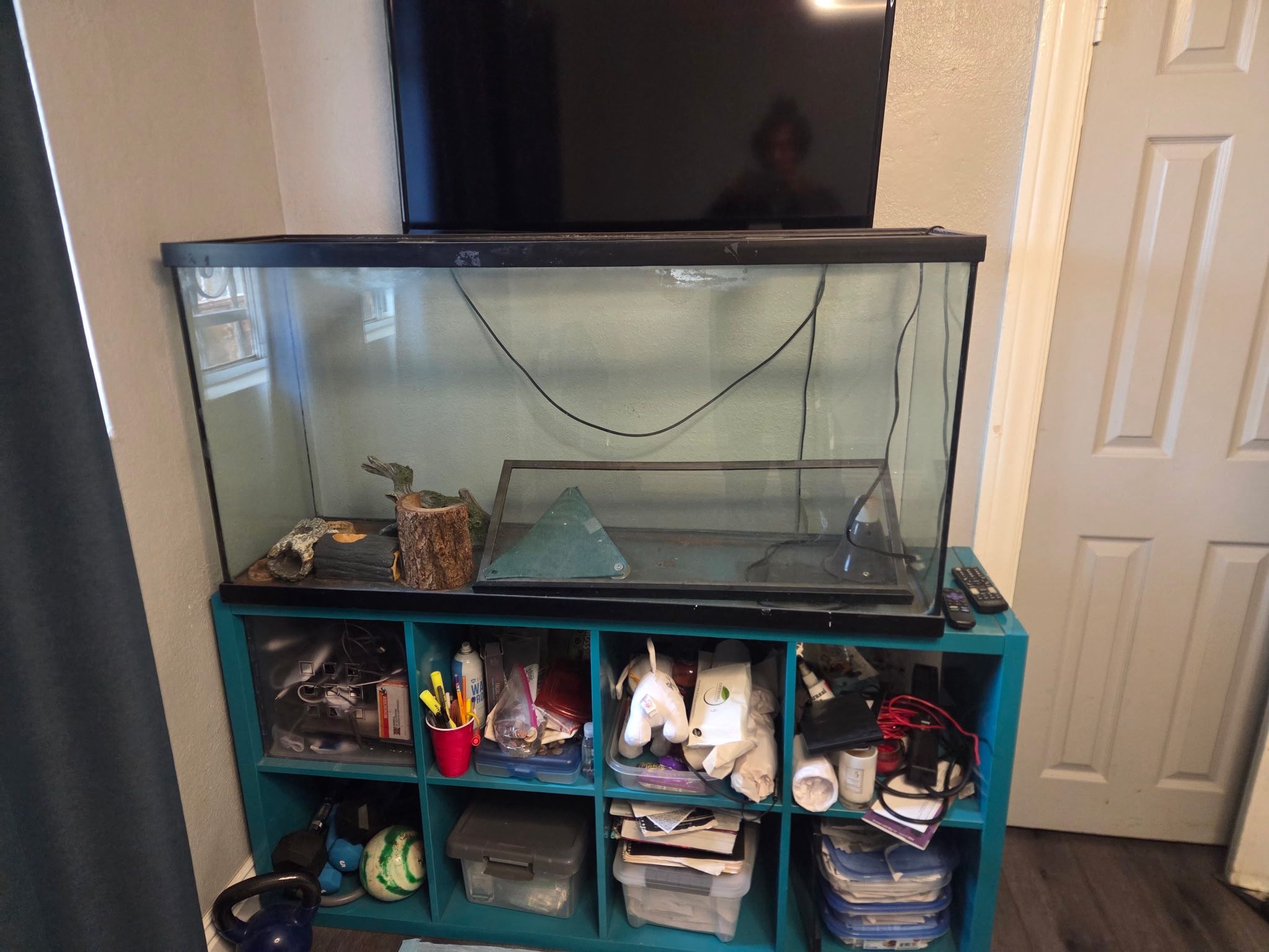 80 Gallon Fish Tank