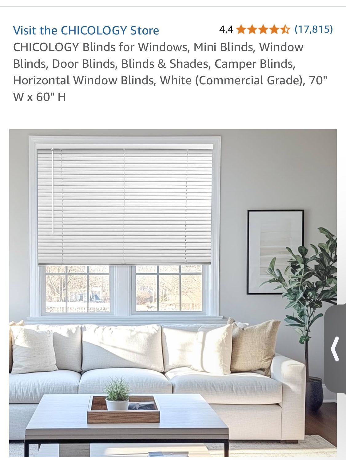 Blinds Door