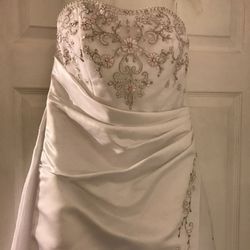 Wedding dress , veil and train and Slip
