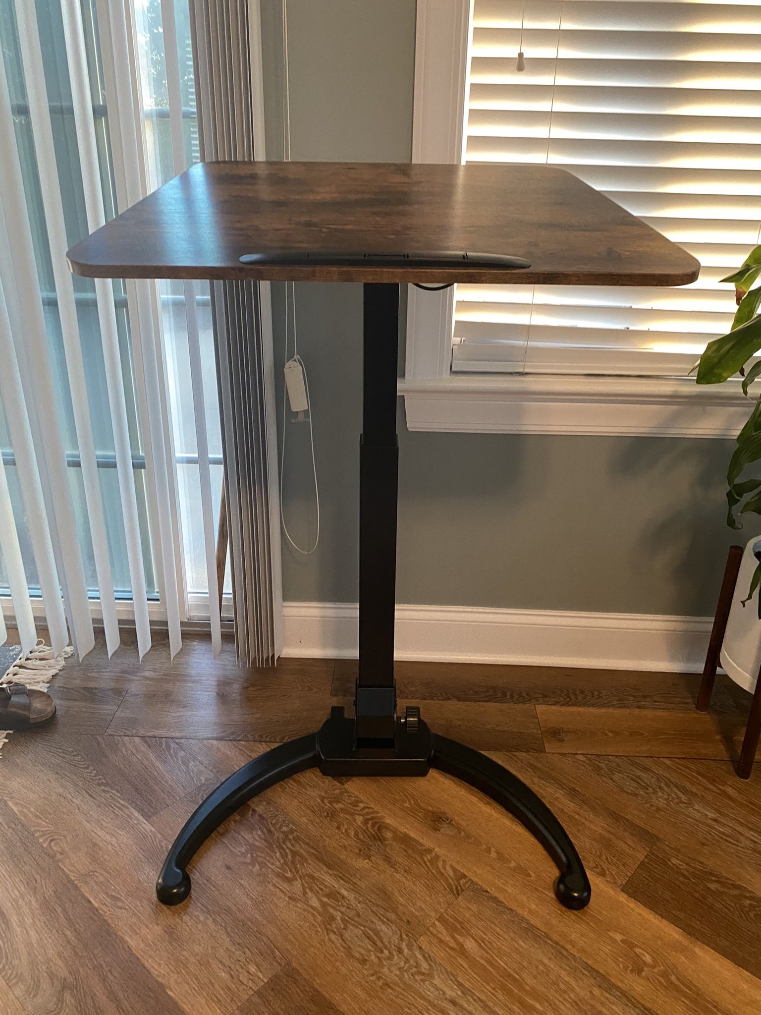 Standing Desk 