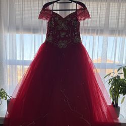 Quinceañera/sweet 16 Dress