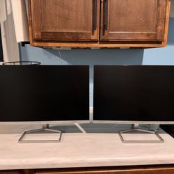 HP Dual Monitors 