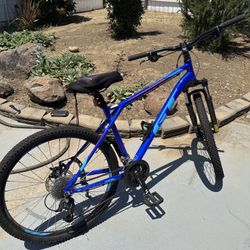 GT AGGRESSOR PRO Mountain bike (Professionally tuned)