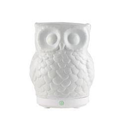 SpaRoom Owl USB Ultrasonic Essential Oil Diffuser in White