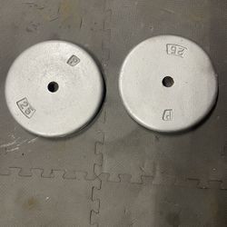 Weight Plates.      40 Dollars 