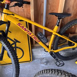 Santa Cruz Chameleon 