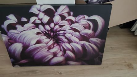 Pink Japanese Chrysanthemum 30×20 Print