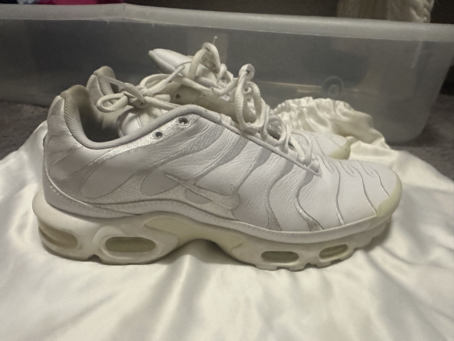 Nike White Air Max Plus
