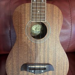 Ukelele and Display Hook