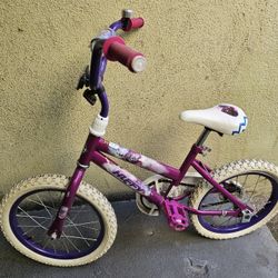 16" Kids Bike Purple