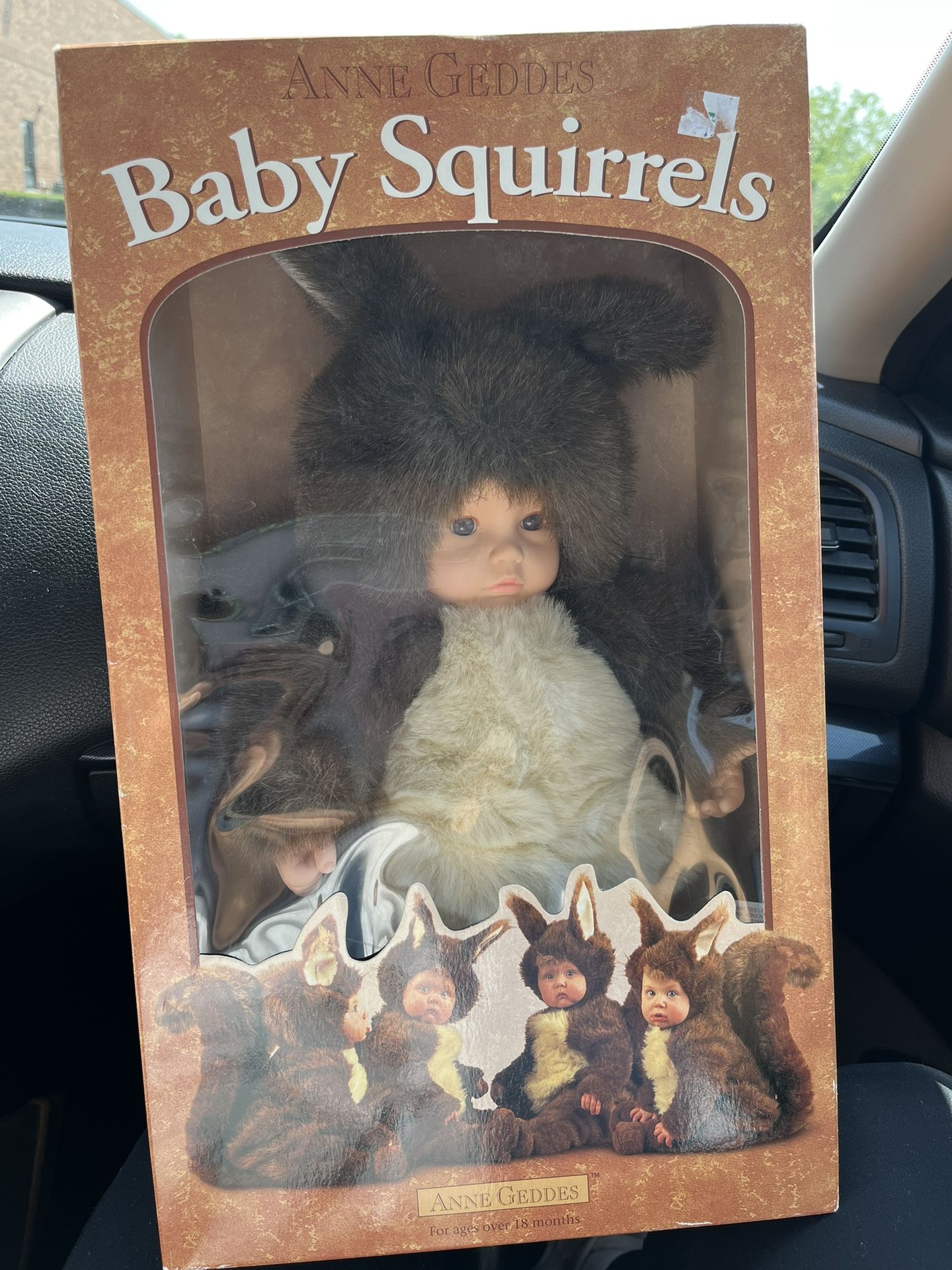 Vintage Anne Geddes Baby Squirrel NEW IN THE BOX