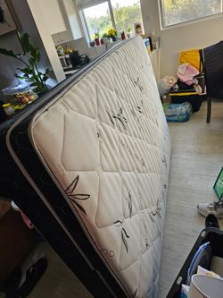New mattress