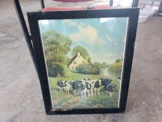 Photo With Black White Cows