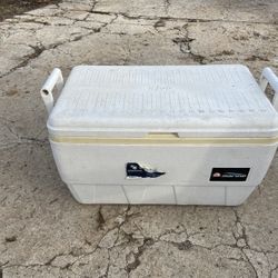 Igloo Cooler