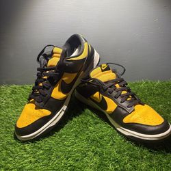 Nike Dunk Low Michigan FZ4618-001