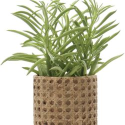 #M）Ceramic Flower Pot 5.7"