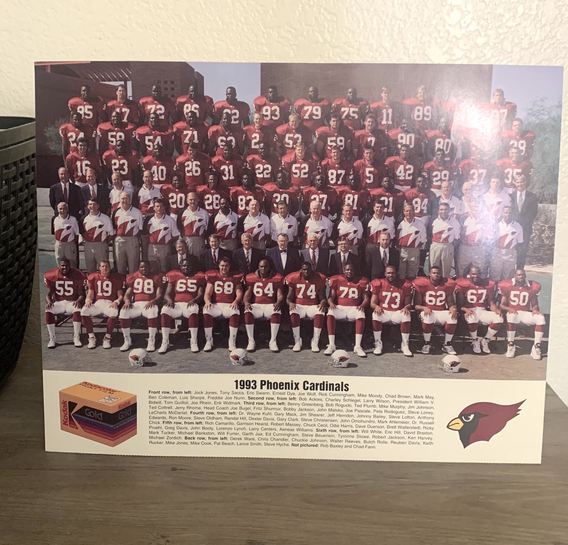 1993 ARIZONA CARDINALS TEAM PHOTO 