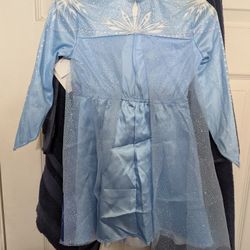 Elsa Costume 