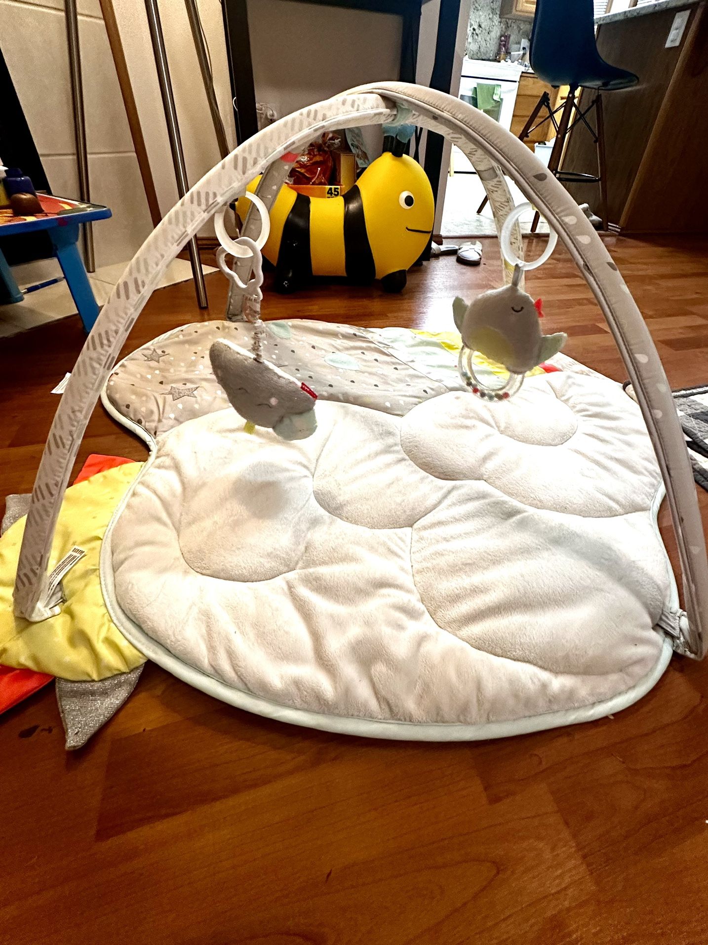 Skip Hop Baby Play Mat