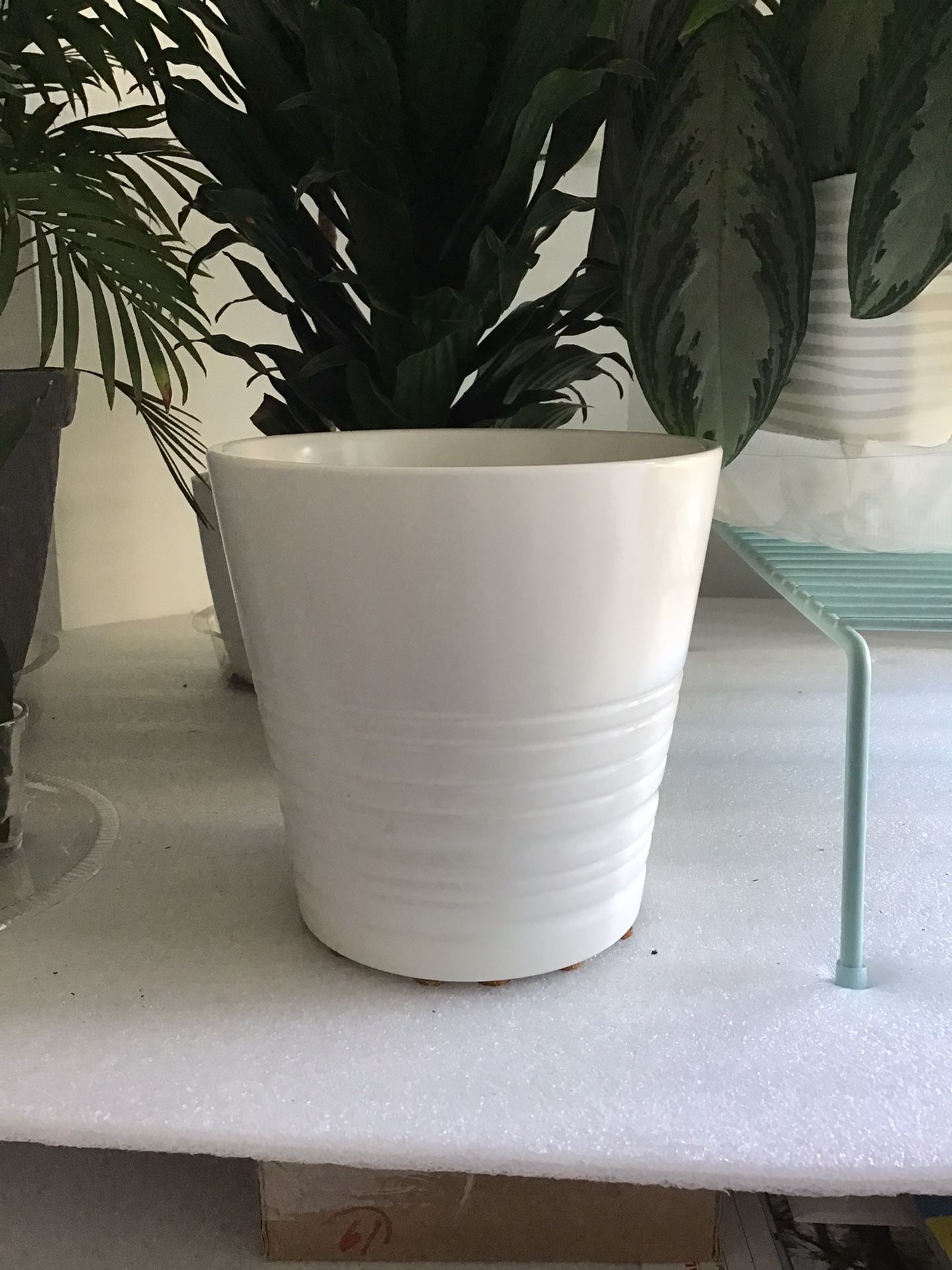 White Stripe Tall Ceramic Planter Pot With Drainage Hole