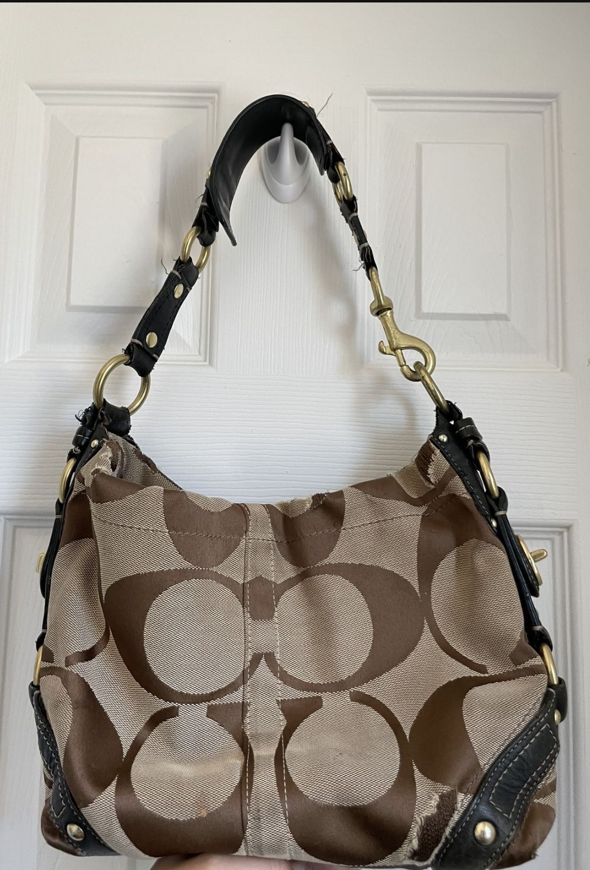 Coach Carly Hobo Bag