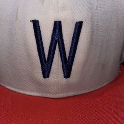 Vintage Washington Hat