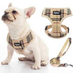 Dog Harness And Leash Set