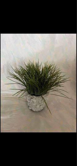 Artificial Plant Decor