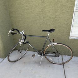 Vintage Schwinn Traveler 1980s. 