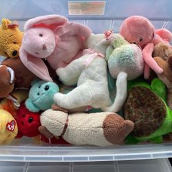 Beanie Buddies Collection 
