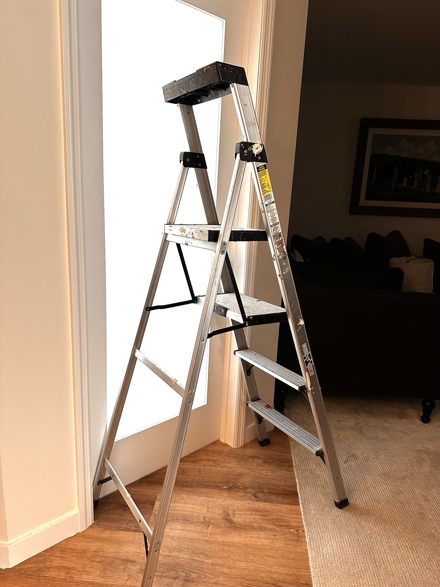 Gorilla Ladder