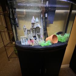 Fish Tank With Stand 