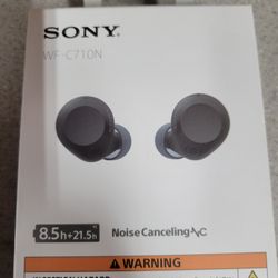 Sony noise canceling Earbuds 