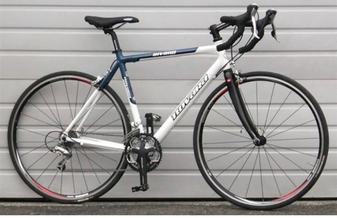 Bike (Divano Novara Aluminum/carbon Roas Bike