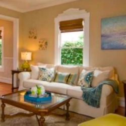 Elegant & Comfortable Couch 