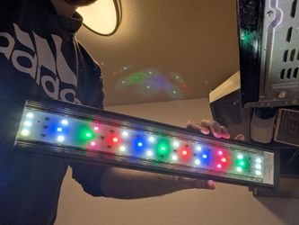 9000K 18" LED aquatic  grow light