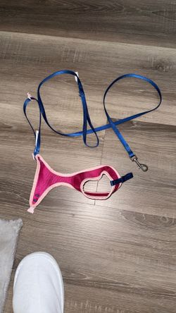 Cat/ small dog harness with leash